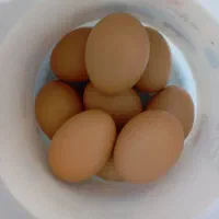تخم مرغ لاری