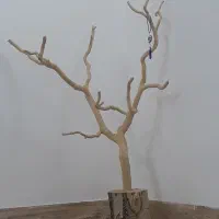 درختچه طوطی سان.درختچه مصنوعی