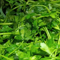 کار در منزل سبزی پاک کنی