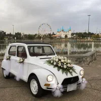 ژیان فروشی /ساوه