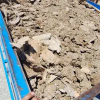 فروش  کود مرغ گوشتی  نیسانی