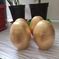 تخم مرغ سفالی بزرگ