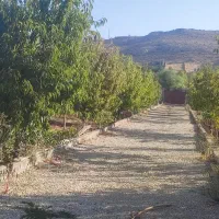 باغ و باغ شهری دالین