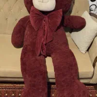 عروسک خرس بزرگ، شاسخین