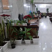 رهن-واجاره-زیرزمین-تجاری-بلوارتاجیک