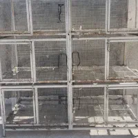 قفس کبوتر ، جفت کن جوجه گیری صنعتی کفتر