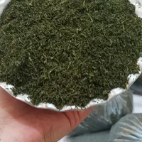 شوید خشک خوزستان