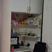 کتاب خانه ،میز تحریر وکامپیوتر