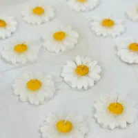 شمع های دست ساز بصورت عمده وتک در خدمت هستیم