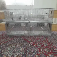 قفس غلامی