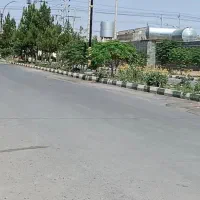 زمین-باغی