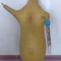 نی انبان بوشهری فروش فوری زیر قیمت بازار