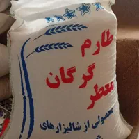برنج طارم گرگان
