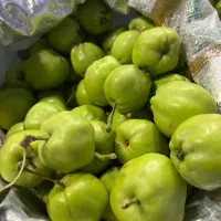 خرید و فروش انواع میوه و تره بار