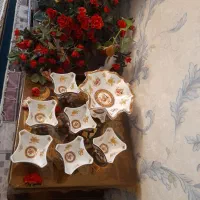 پیشدستی  پلو خوری خرش خوری زیبا در حدنو