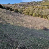 زمین ۱۶۰۰متری با مجوز گلخانه در طالکوه