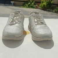کفش اسکیچرز اصلی به شرط