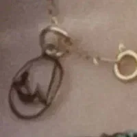 ی قطعه طلا گمشده