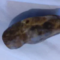 سنگ قیمتی