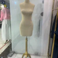 دو عدد مانکن نیمتنه