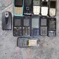 کوشیا اوراقی 12عد فروشی.