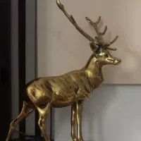 گوزن برنجی ومیوه خوری