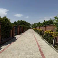 خواهان-مشارکت-منطقه-یک-وشش