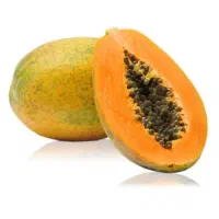 بذر پاپایا میوه استوایی