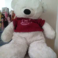 خرسی های خیلی کیوت