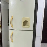 یخچال فریزر الکترو استیل