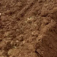 یک قطعه زمین