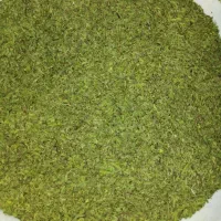 تازه خشک شده