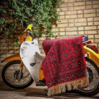 قالیشویی تهرانپارس جشنواره استخر زهدی احسان پروین