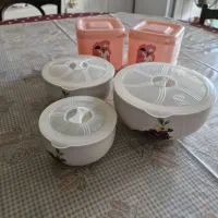 ظروف نگهدارنده