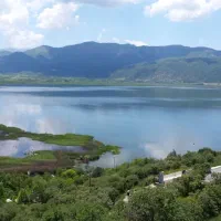 زمین مسکونی