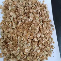 عرضه مستقیم غنچه گلسرخ و گل گاو زبان
