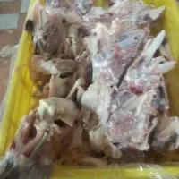 غذای سگ
