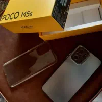 کوشی شیامی پکو ام فایو اس