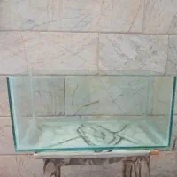 آکواریوم وغذای ماهی
