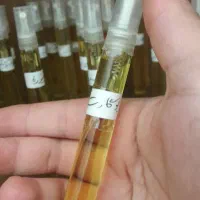 با خرید دو عطر یدونه اشتانتیون هدیه بگیر
