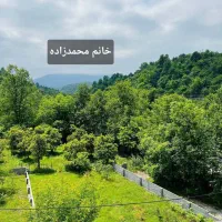 زمین زیرقیمت/ پلاک یک جنگل نور/اقساط ۱۰ماهه