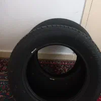 لاستیک پژوپارس