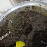 محصولات خانگی ریحان