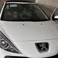 ۲۰۷ پانا خشک