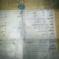 سند برای زندانی موجود هست هر مبلغی که نیاز دارید