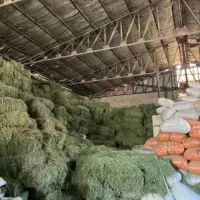یونجه