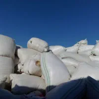 کاه گندامده وکیسه شده کیلو20هزار