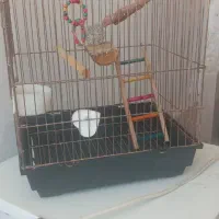 قفس پرنده