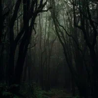 تور نیم روزه