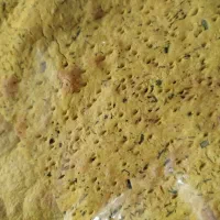 استخدام نیرو در نانوایی